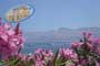 Home Holidays Greso Trapani