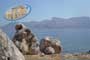 Home Holidays Greso Trapani