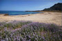 Home Holidays Greso Trapani