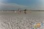 Home Holidays Greso Trapani