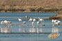 Home Holidays Greso Trapani